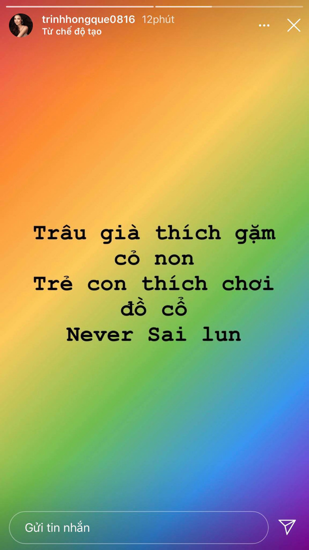hong-que-huynh-anh 3