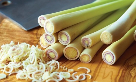 Cong dụng của củ sả