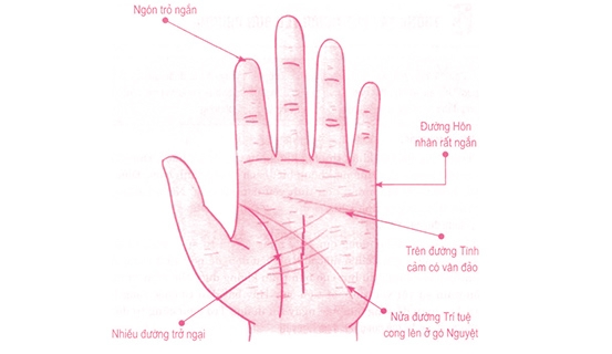 Tướng bàn tay giàu có mang lại nhiều tài lộc cho người phụ nữ