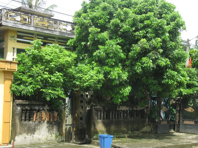 dai-ky-phong-thuy-02