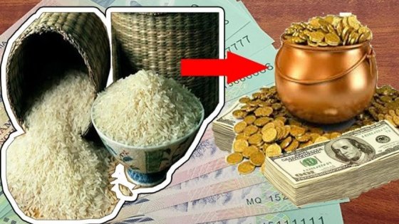 Đặt đồng xu dưới đáy hũ gạo hút lộc