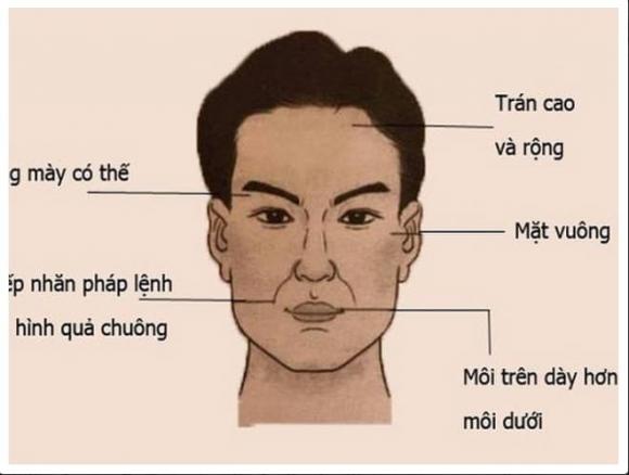Tướng đàn ông giàu có