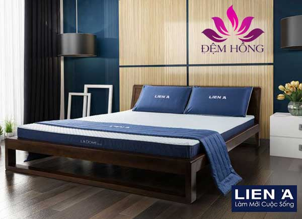Nệm cao su Liên Á