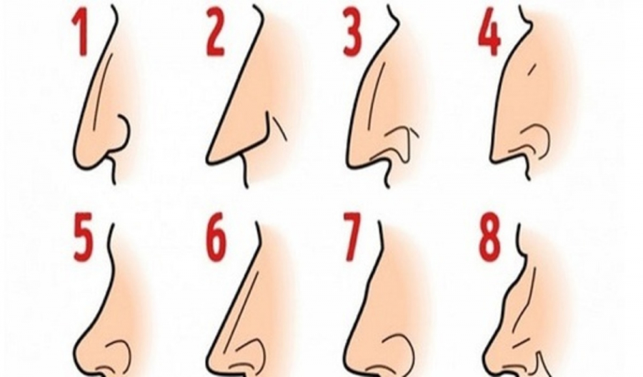 Tính cách thông qua tướng mũi