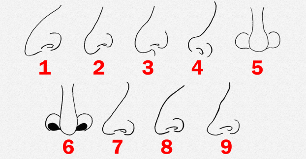 Tử vi thông qua tướng mũi