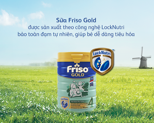 friso-3
