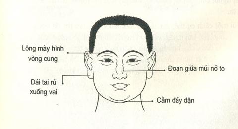 Tướng đàn ông phát tài