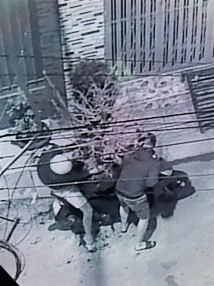 Camera cho thấy rõ ràng hình ảnh hai tên trộm để chậu mai lên xe máy chở đi.