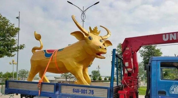 Trâu vàng với biểu cảm ngộ nghĩnh ở Vĩnh Long