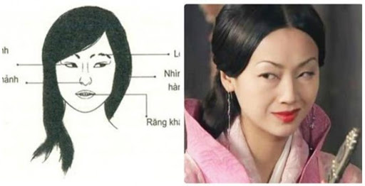 Tướng phụ nữ thích thị phi