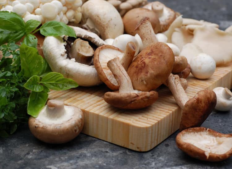 Nấm càng nấu chín kỹ càng tốt cho trẻ nhỏ