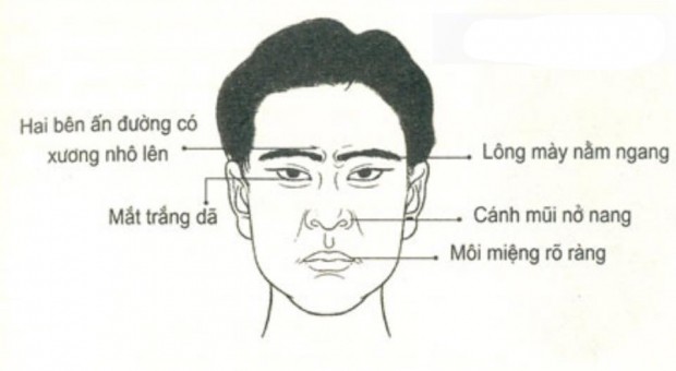 Tướn đàn ông không làm được việc lớn thâm độc