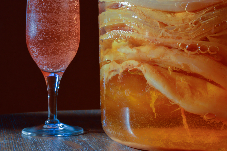 kombucha-02