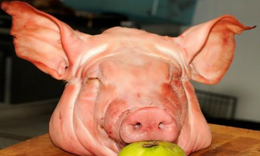 Thủ lợn là thứ khuyến cáo không được dùng cho lễ cúng rằm tháng Giêng      