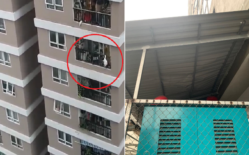Hình ảnh em bé rơi từ lan can toà nhà (Ảnh chụp màn hình)
