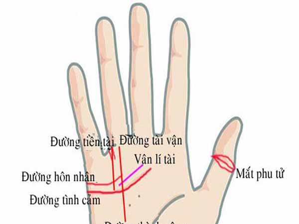 Bàn tay có tướng giàu có