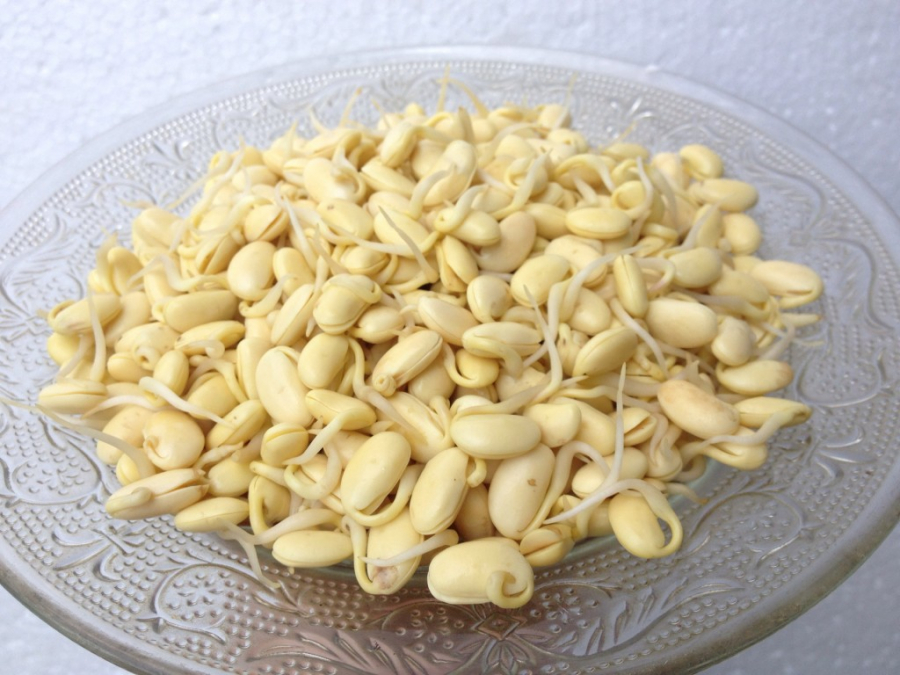Thực phẩm mọc mầm tốt