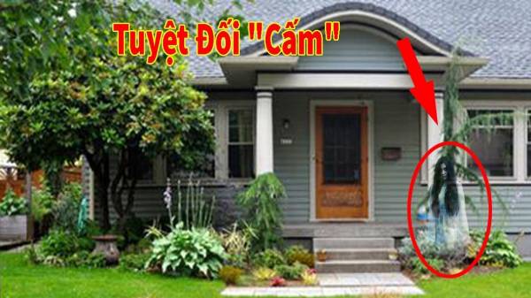 Dấu hiệu ngôi nhà âm khi cao