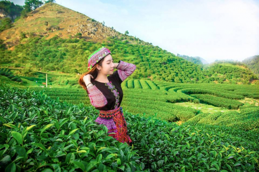 Mộc Châu tháng 4