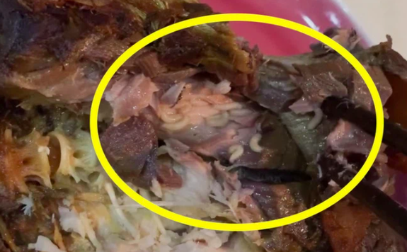 Giòi bò trong khúc cá kho anh T mua