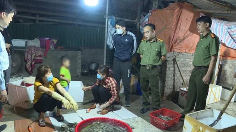Đoàn thanh tra có mặt tại cơ sở bơm tạp chất vào tôm. (Ảnh: VTC)