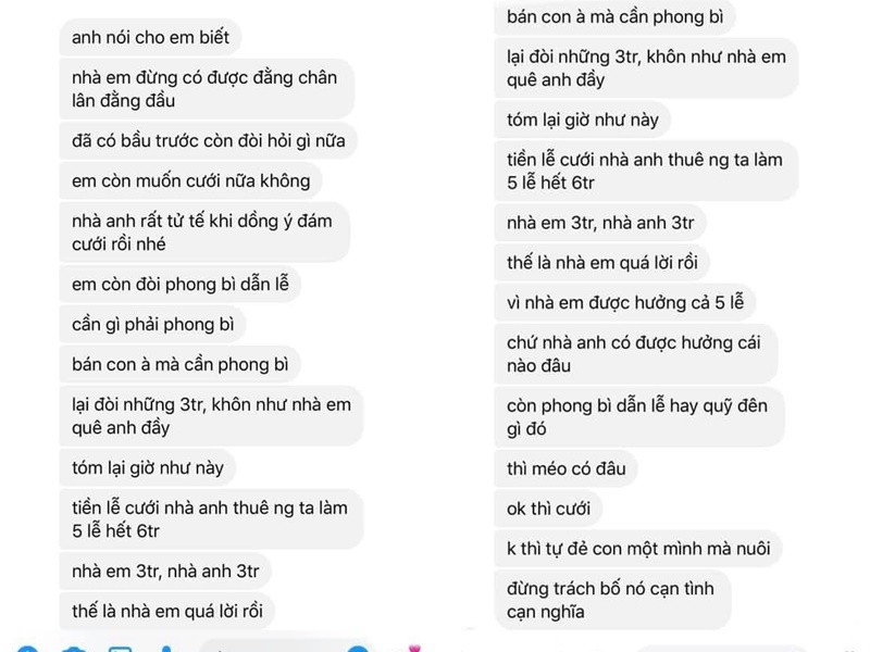 Ảnh chụp đoạn chat giữa cô gái và chồng sắp cưới (Ảnh: FB: L.C.)