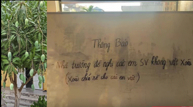 Bảng thông báo khiến mọi người bật cười (Ảnh: Trung tâm Tin tức VTV24)