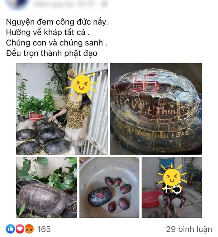 Cư dân mạng truyền tay nhau hình ảnh được cho là chụp từ Facebook mẹ ca sĩ Thủy Tiên chia sẻ việc thả động vật phóng sinh. Nhưng điều gây chú ý là trên các chú rùa này đều khắc chữ 