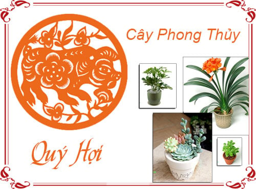 cay-quy-hoi-2019-09-06