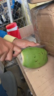 Có thể bổ đôi quả dừa một cách dễ dàng.