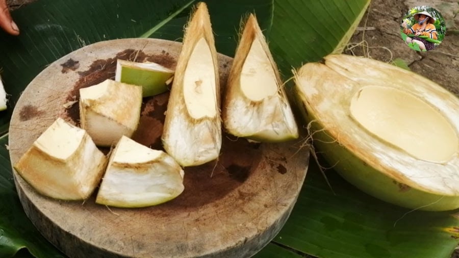 Quả dừa ngọt thường ít nước và nước cũng không ngon. Thay vào đó, phần vỏ mềm và có thể ăn được.