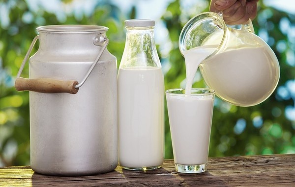 Nhiều phụ huynh cho rằng sữa tươi nguyên chất, không qua đun nấu tốt cho sức khỏe của con nhưng không biết loại đồ uống này tiềm ẩn nguy cơ gây hại sức khỏe.