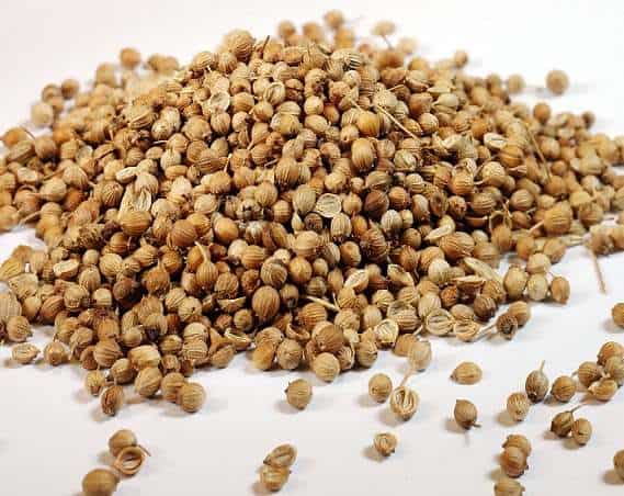 Bạn có thể trồng tía tô bằng hạt. Có thể tìm mua hạt giống ở các cửa hàng bán đồ nông sản.