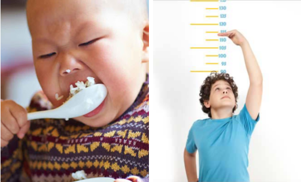 Chế độ dinh dưỡng ảnh hưởng đến chế độ dinh dưỡng của trẻ