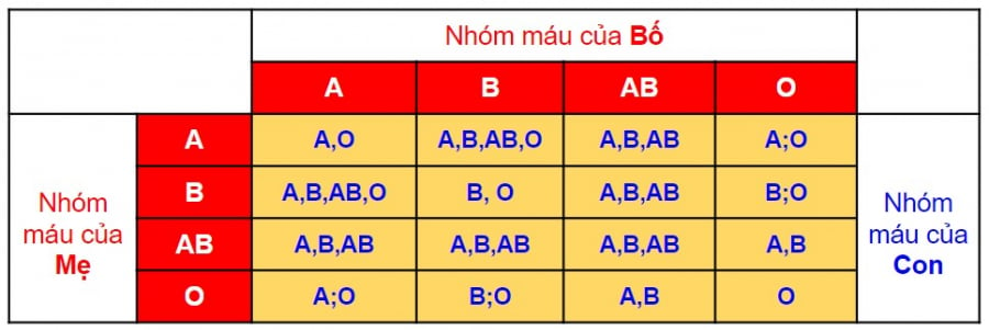 Chế độ dinh dưỡng và nguy cơ bệnh tật liên quan đến nhóm máu O và B