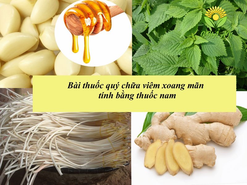 chua-viem-xoang-man-tinh-bang-thuoc-nam