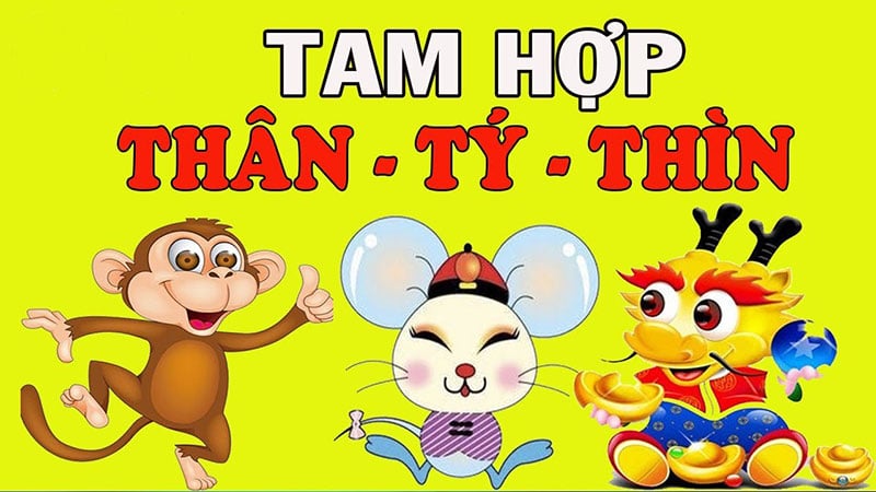 tam-hop-than-ty-thin