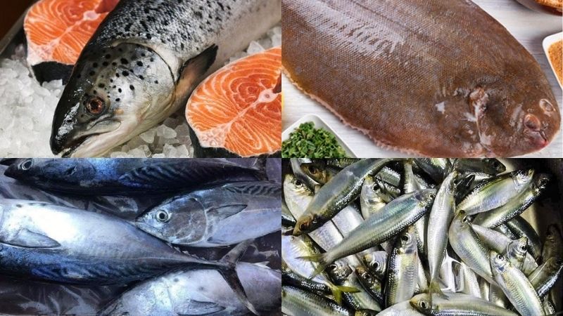 Ăn cá to hay nhỏ bổ dưỡng hơn: Câu trả lời khiến nhiều người ngỡ nàng