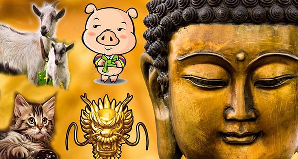 Thiên mệnh: 4 tuổi là con nhà Phật, hiền lành từ nhỏ, chẳng bon chen cũng giàu sang phú quý