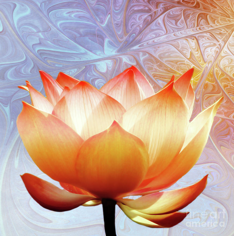 sunshine-lotus-photodream-art