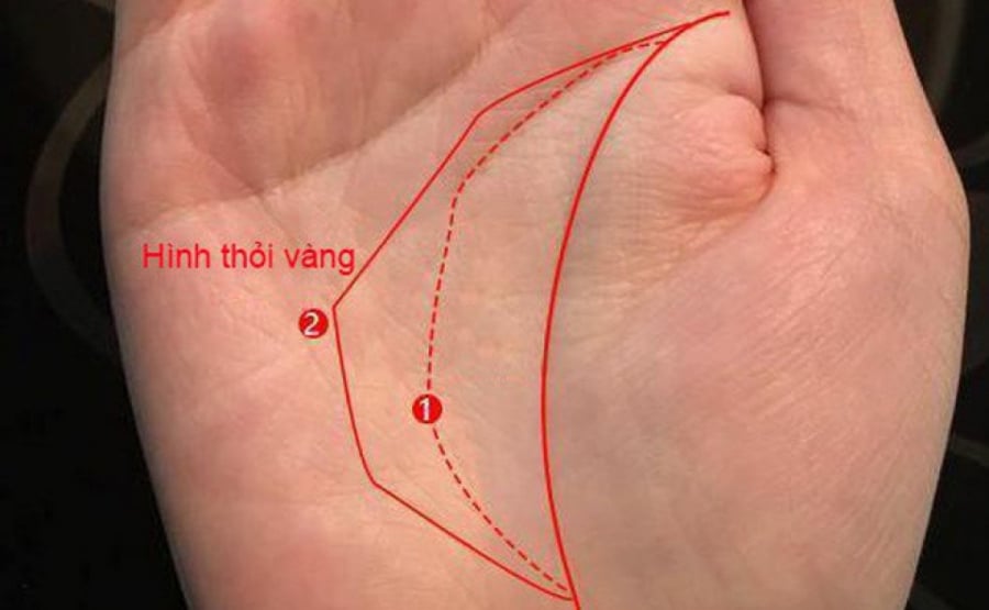 Dù là nam hay nữ, lòng bàn tay có 4 dấu hiệu này: Trời định số hưởng, về sau không lo thiếu tiền tiêu
