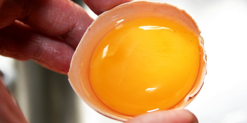 Điểm danh 5 loại thực phẩm có hàm lượng cholesterol cao nhất, lòng đỏ trứng chỉ xếp thứ hai