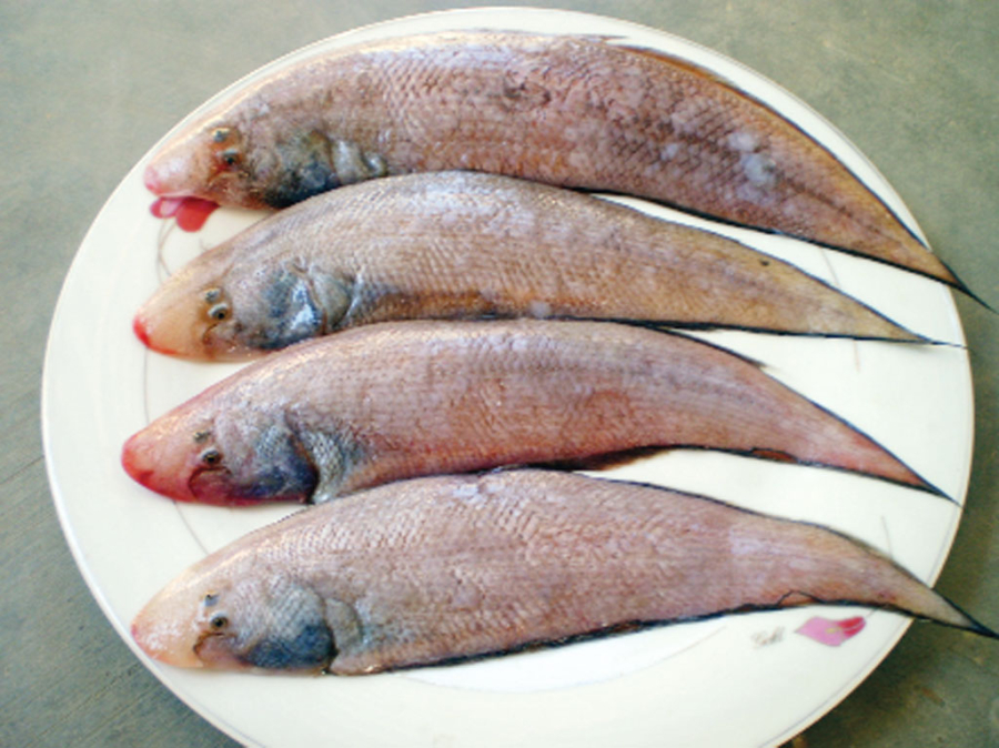 Đi chợ thấy 8 loại cá này thì nên mua ngay: Vừa ngọt thịt, ít xương lại giàu dinh dưỡng