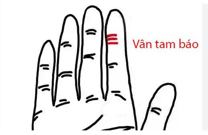 Lòng bàn tay có 4 dấu hiệu này báo hiệu vận mệnh phú quý, càng già càng phát tài - Ảnh 2