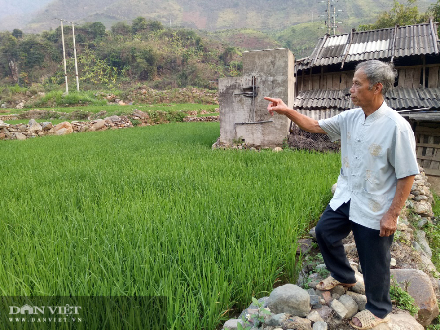 Tổ tiên đã dặn: “Thà không có sân còn hơn có ruộng trước nhà”’, phong thuỷ xưa nay đều rất kị