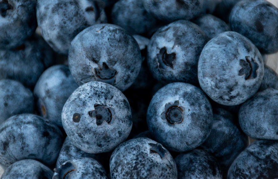 blueberries-7468718_960_720