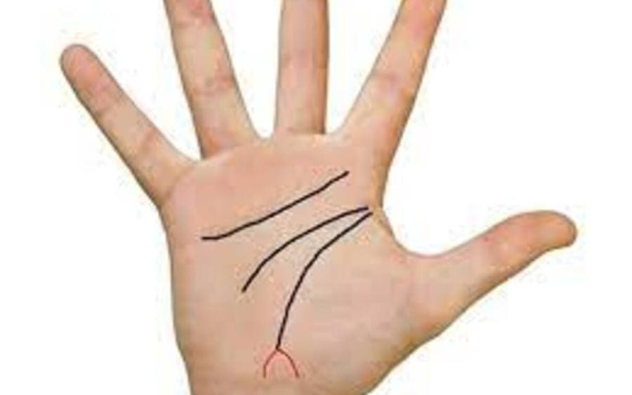 Dù là nam hay nữ, lòng bàn tay có 5 dấu hiệu này sẽ luôn phát đạt, càng già càng giàu