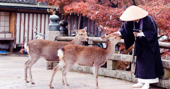 giup-nguoi-la-duc-700x366