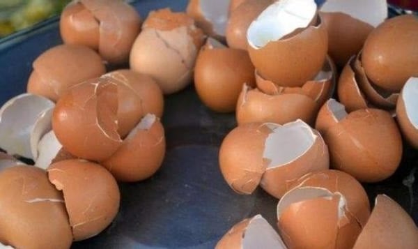 Cho vỏ trứng vào chảo rang khô: Mẹo hay mang lại lợi ích lớn, giải quyết vấn đề nhà nào cũng gặp