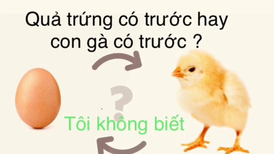 Quả trứng có trước con gà có trước: Đây là đáp án đúng nhất